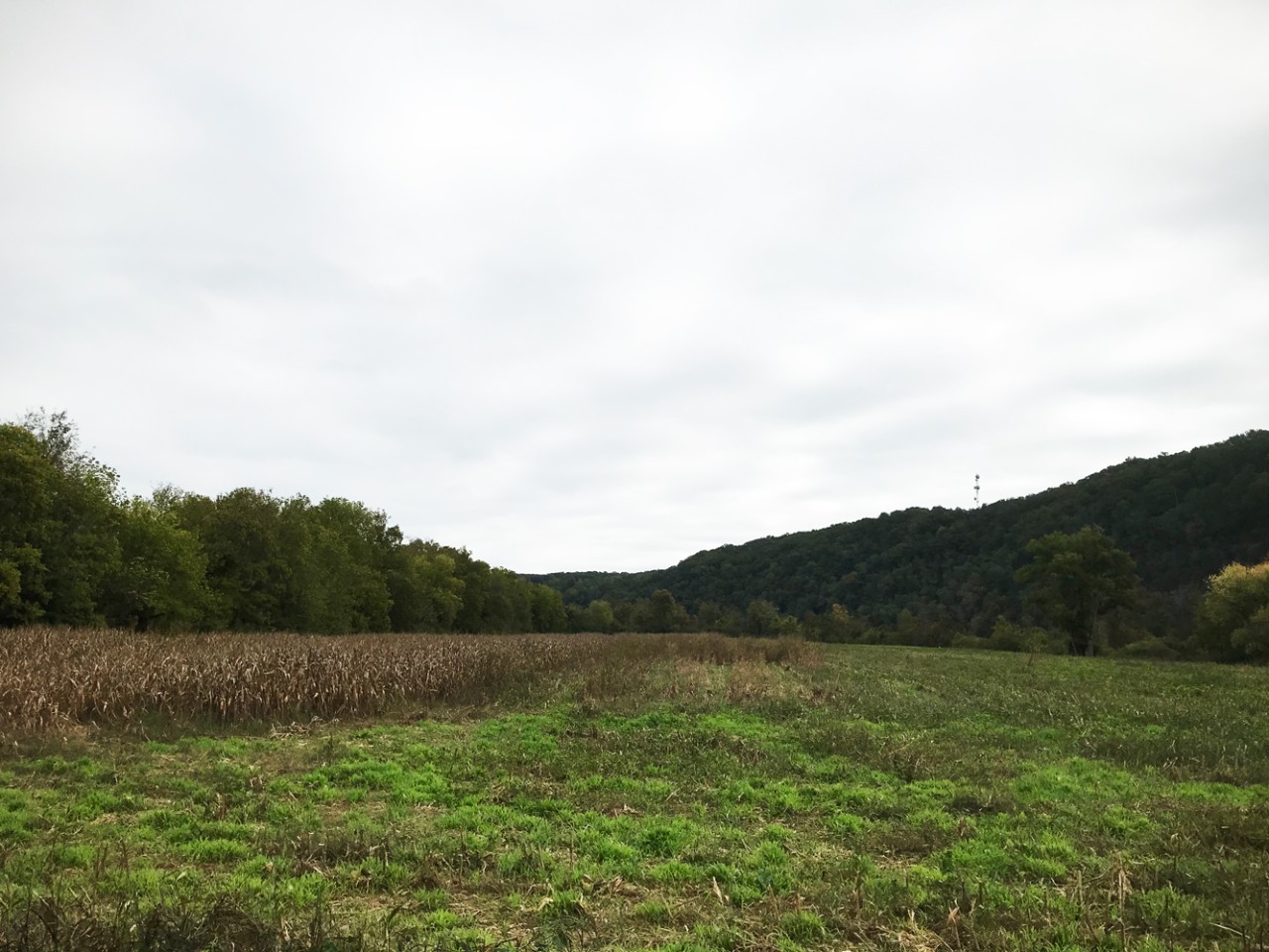 Yuchi Refuge WMA
