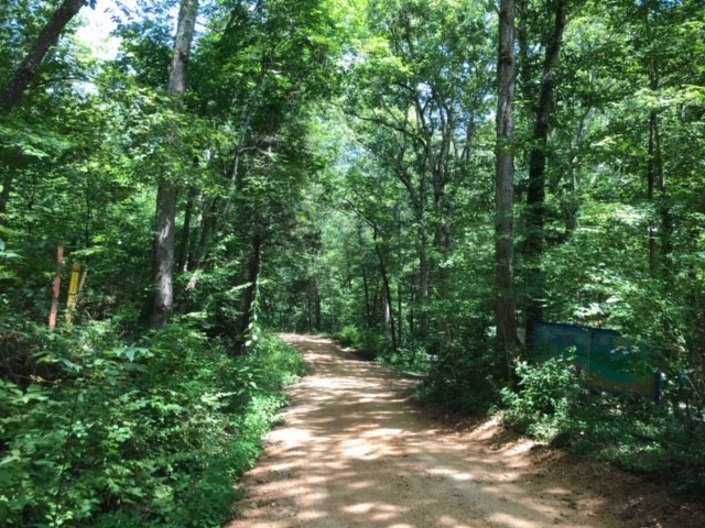 MTSU WMA