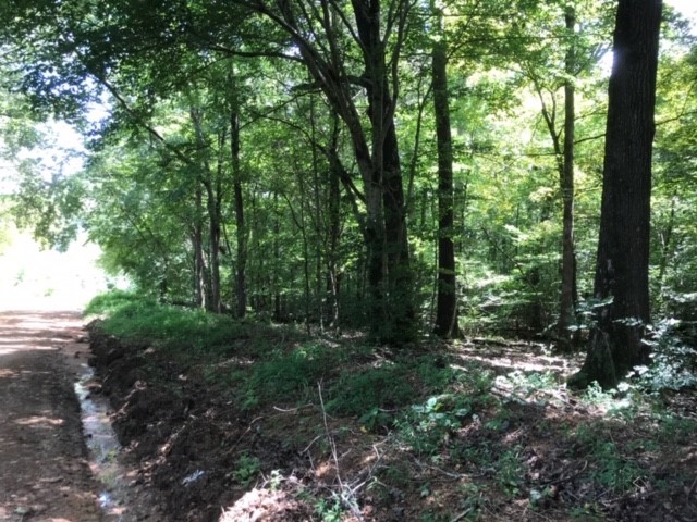 MTSU WMA