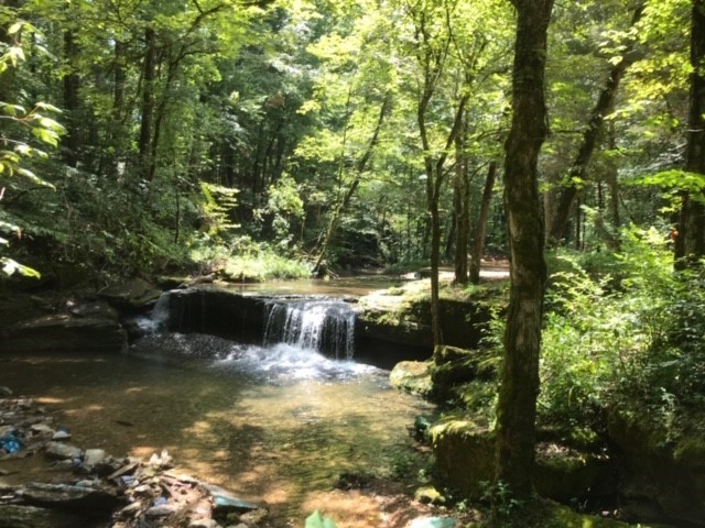 MTSU WMA