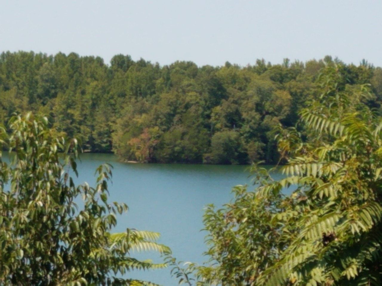 Owl Hollow Mill WMA