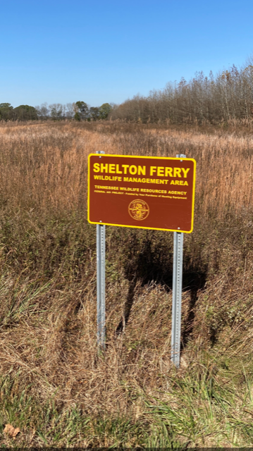 Shelton Ferry WMA