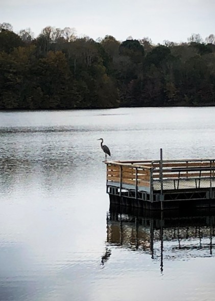 Williamsport WMA Scenery