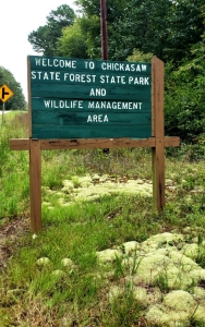 Chickasaw State Forest