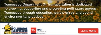 TDOT Pollinators Program link