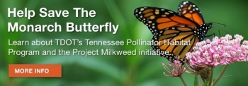 TDOT Help Save the Monarch! Banner, get free Milkweed application and information.
