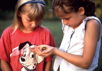 Children playing with frogs