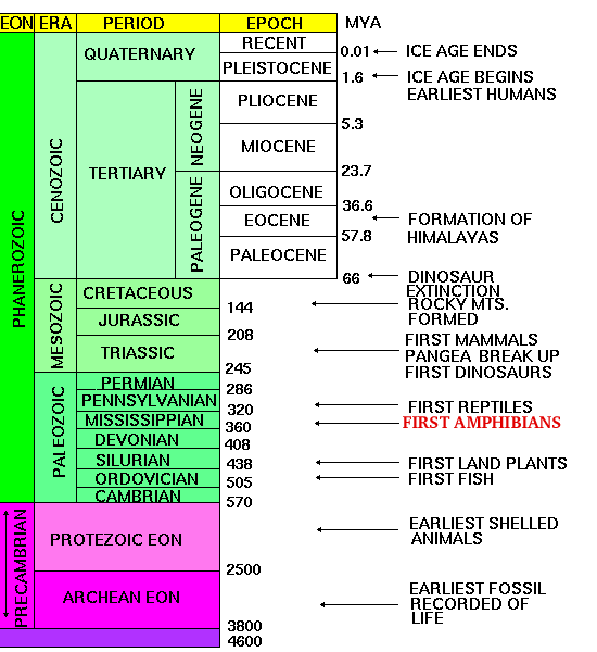 Time Scale