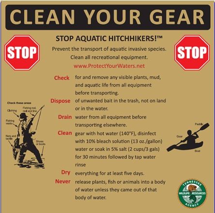 Clean Your Gear flyer