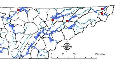 Didyma map