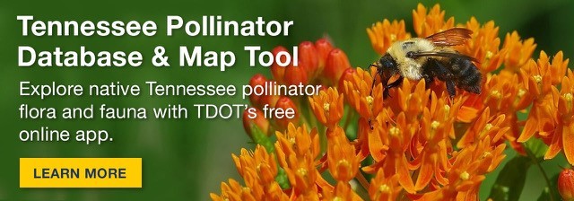 Tennessee Pollinator Database and Map Tool