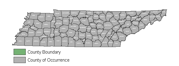 little-brown-bat-rangemap little-brown-bat-rangemap