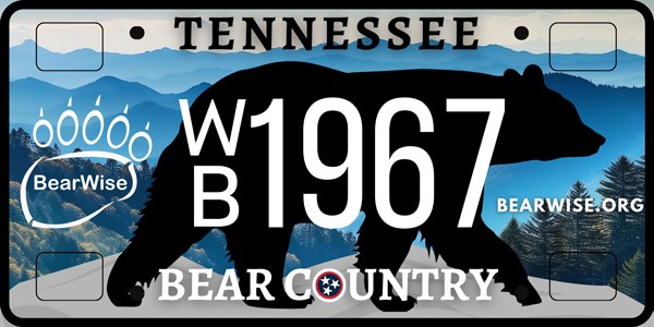 Bear License Plate