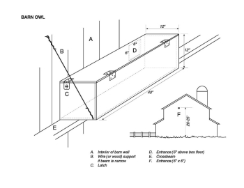 Nest Box Plans