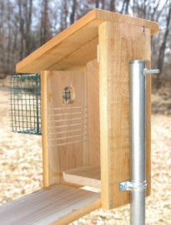 wood nest box