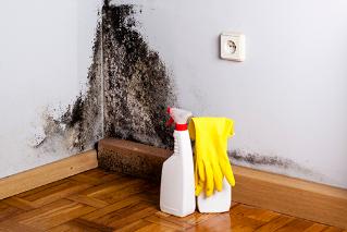Bottle of cleaner and rubber glove sit on floor next to a dark stain on a wall Mold