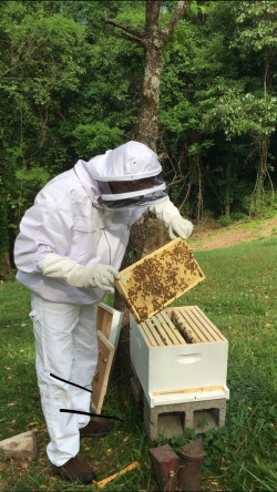 HensleyBeekeeper HensleyBeekeeper