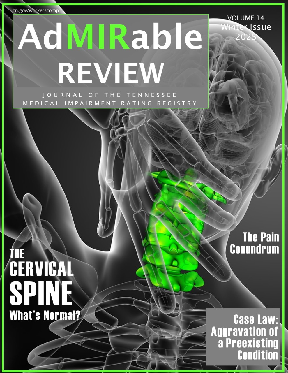 AdMIR_Winter_2025_cover Winter 2025 Issue Cover