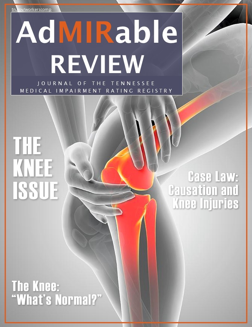 AdMIR_SUMMER_2024_cover Summer 2024 Issue Cover