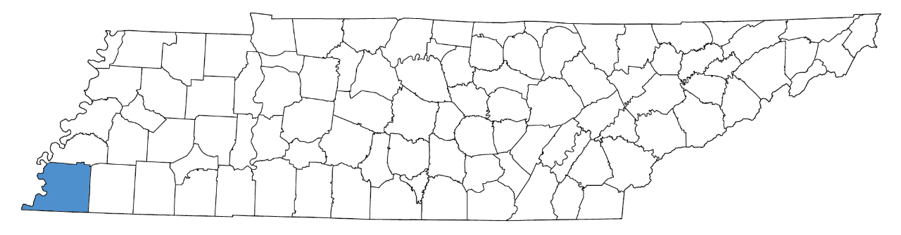 Shelby County Shelby County