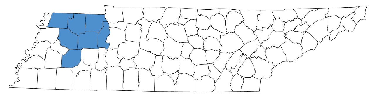 Benton, Carroll, Gibson, Henry, Madison, Obion, Weakley counties Benton, Carroll, Gibson, Henry, Madison, Obion, Weakley counties