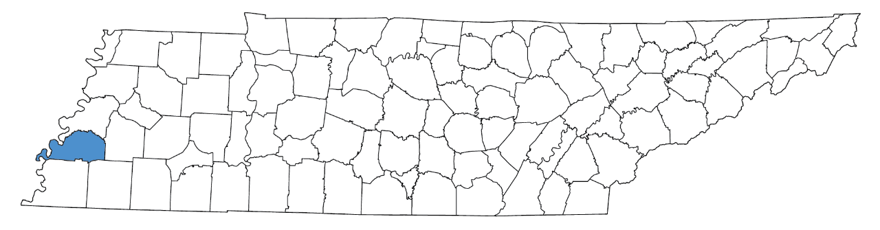 Tipton County Tipton County