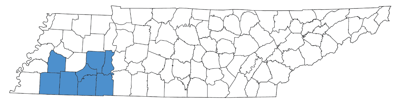Chester, Decatur, Fayette, Hardeman, Hardin, Haywood, Henderson, McNairy counties Chester, Decatur, Fayette, Hardeman, Hardin, Haywood, Henderson, McNairy counties